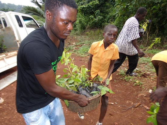 2014-Squeaker-Frog-transporting-seedlings