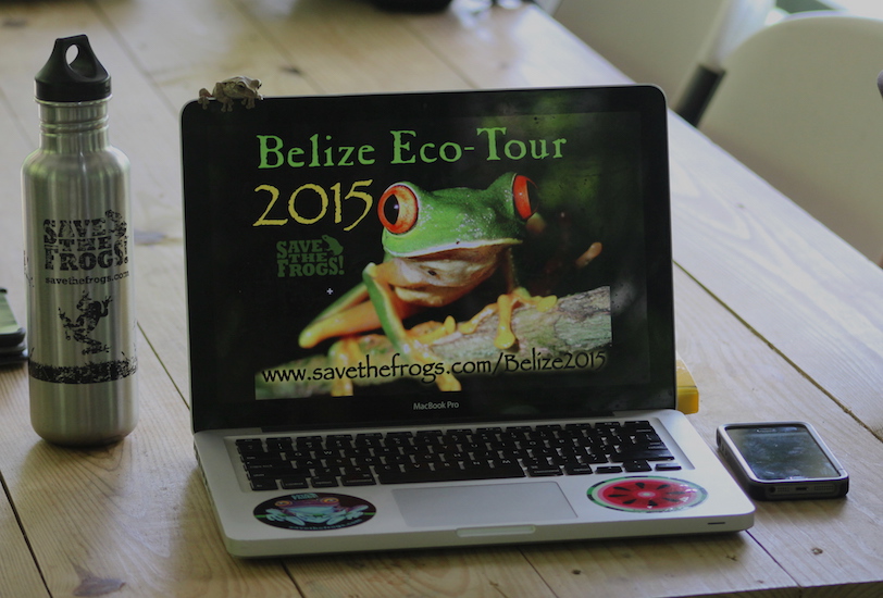 2015 Belize computer smilisca