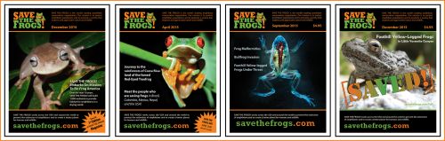 2015 STF Magazine banner all issues 550 2