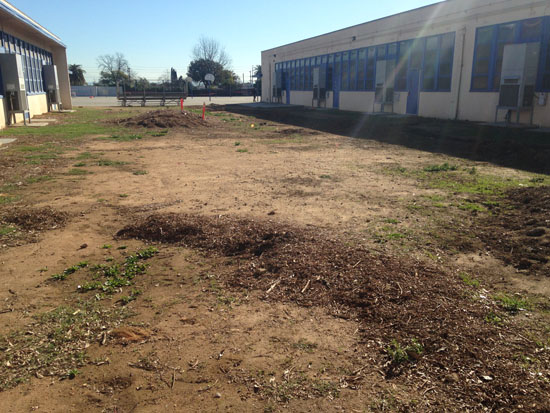 garvey school wetland construction