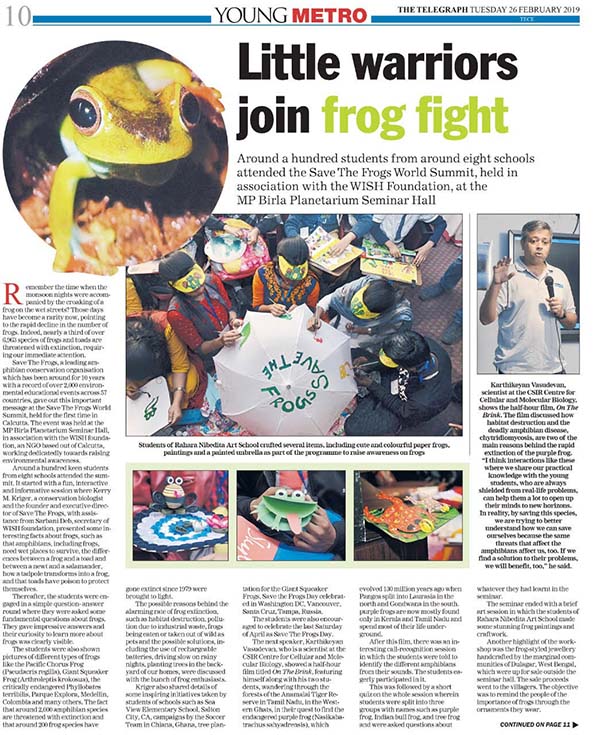 Frogs in the news