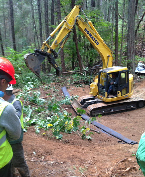 wetland restoration