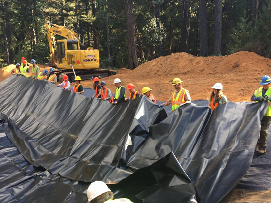 wetland construction