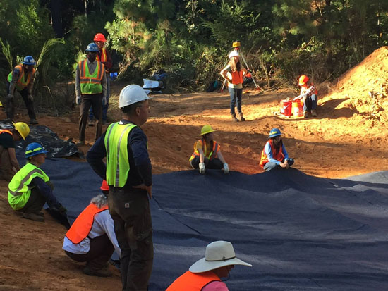 save the frogs wetland workshop