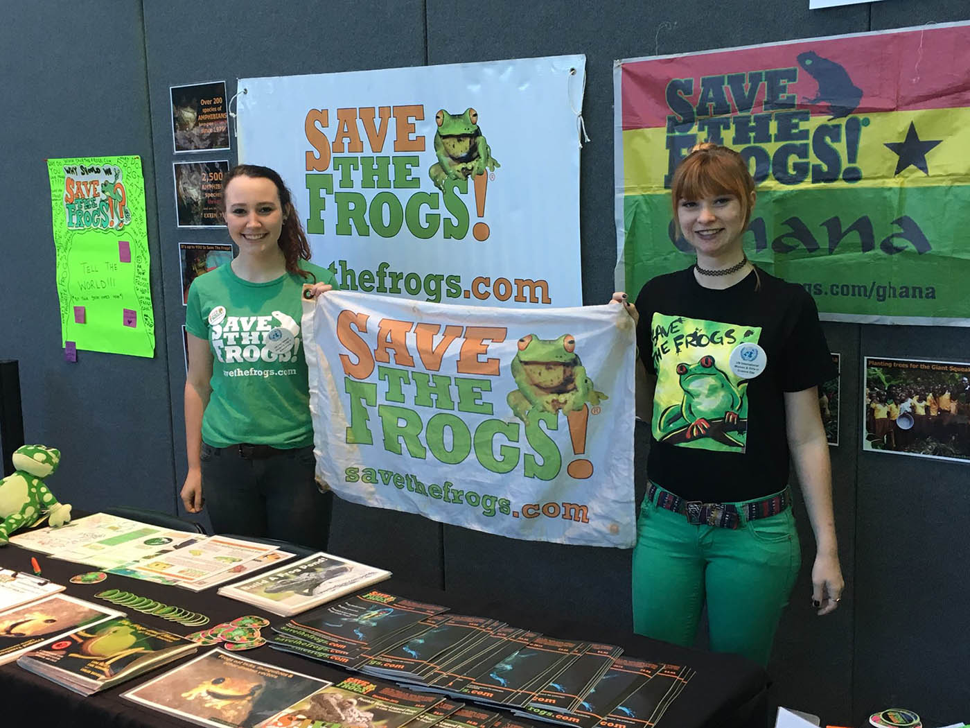 Save The Frogs Table - Florida Museum of Natural History