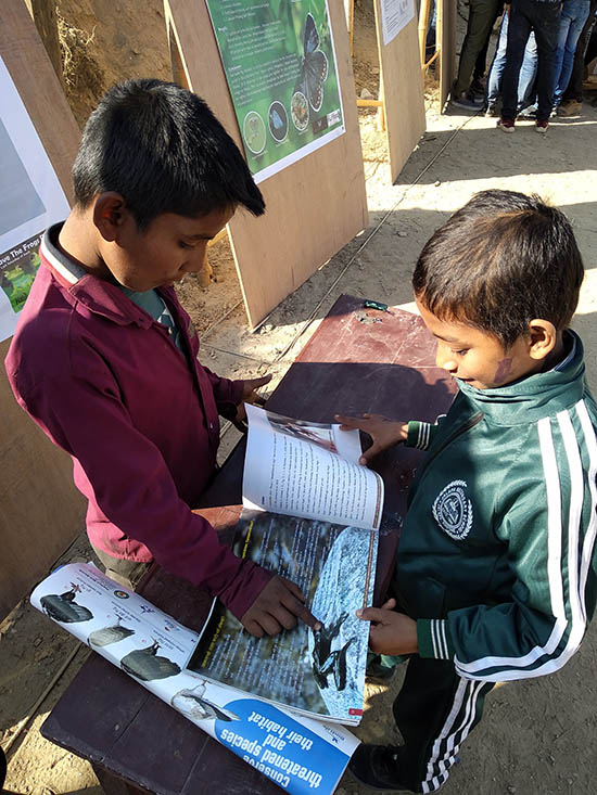 Frogs Education Nepal