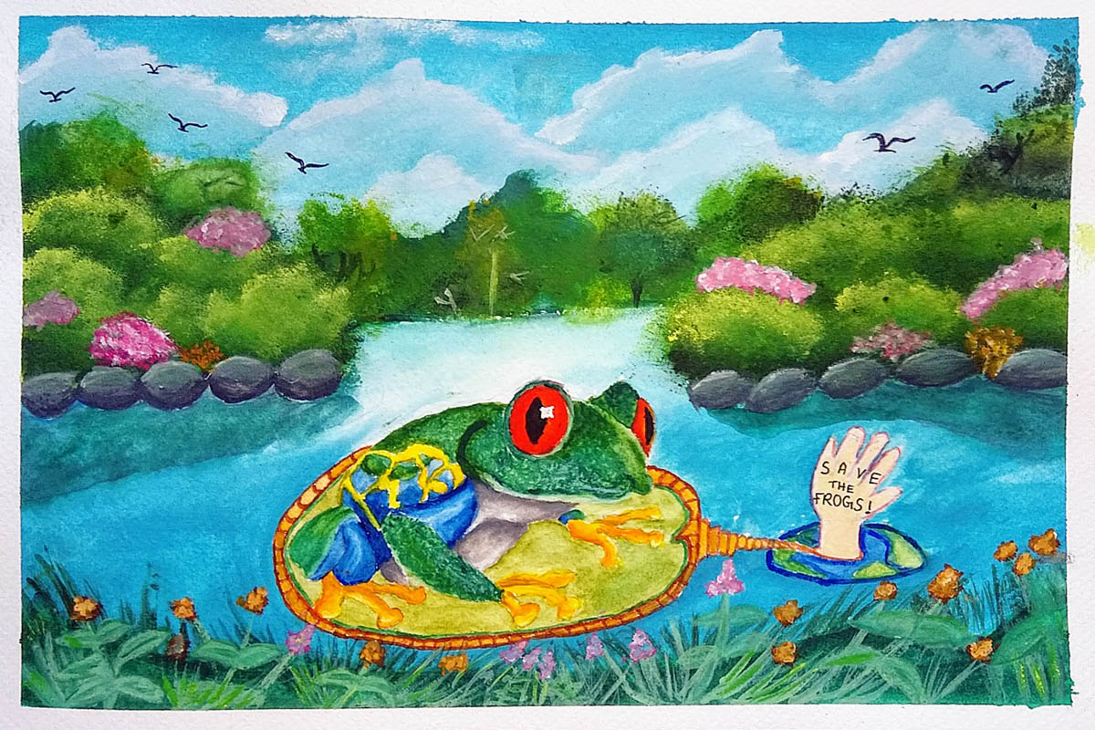 Aron-Raj-India -2020-save-the-frogs-art-contest