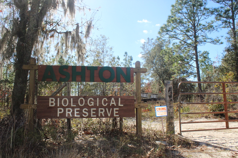 Ashton sign