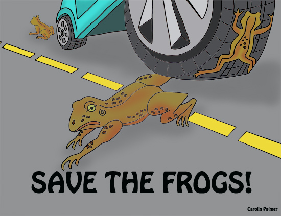 Roadkill amphibians