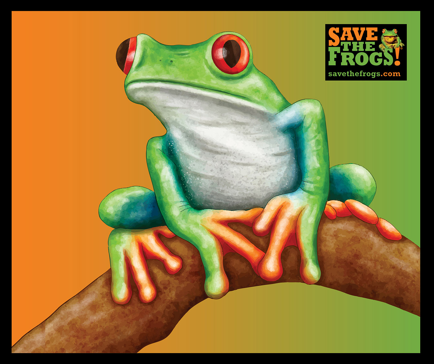 Green Orange Frog - Red-Eyed Treefrog - Tote Bag