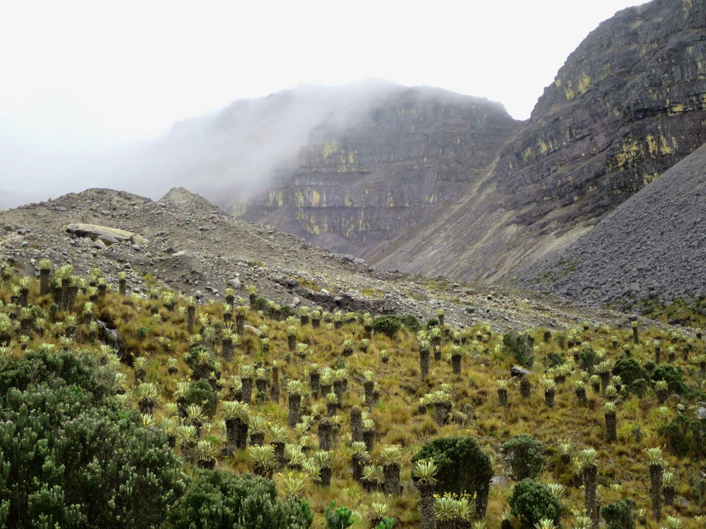 Cocuy National Park Colombia Fralijones