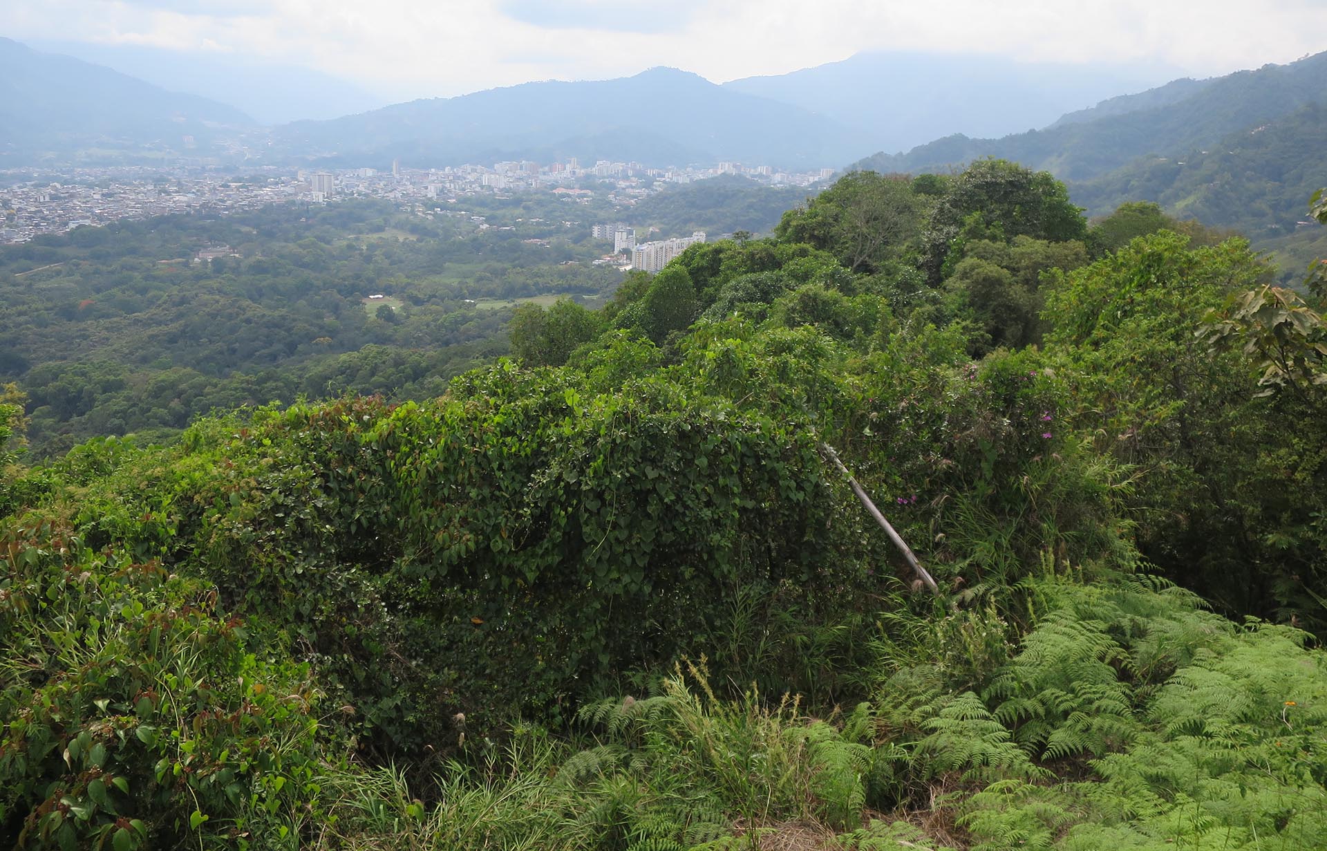 Colombia Tolima Ibague San Jorge Mirador