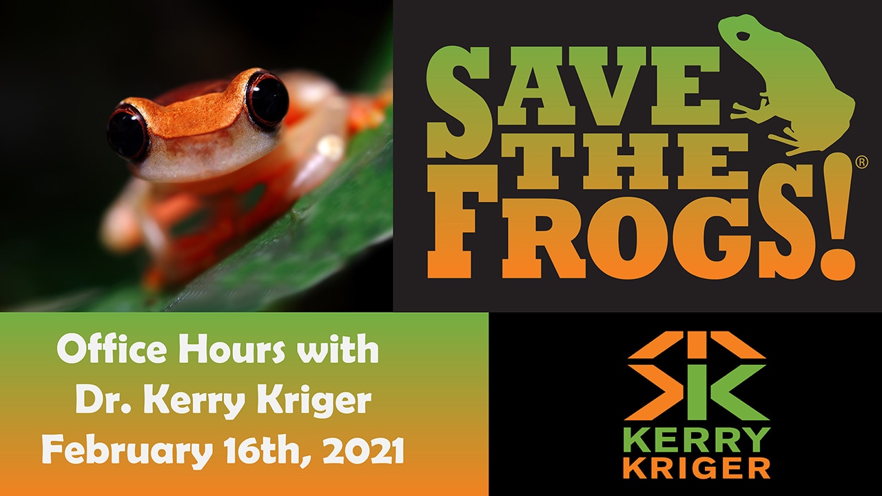 Save The Frogs Office Hours