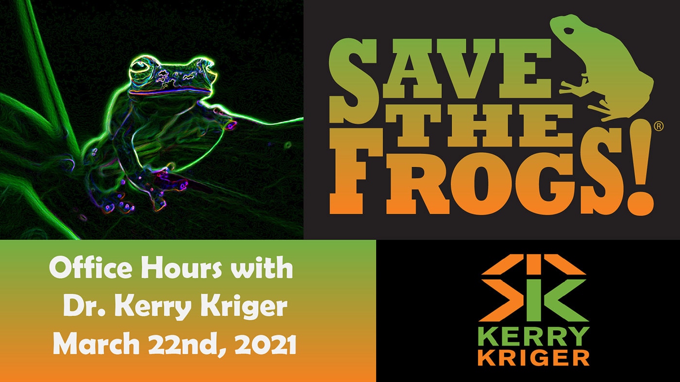 Save The Frogs Office Hours