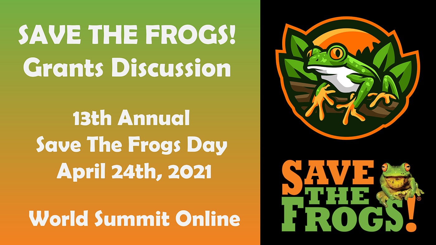 Save The Frogs Grants Discussion - World Summit 2021