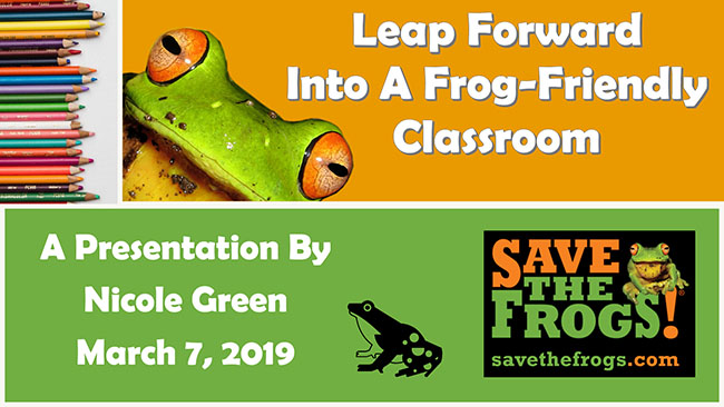 Leap Into A Frog-Friendly Classroom