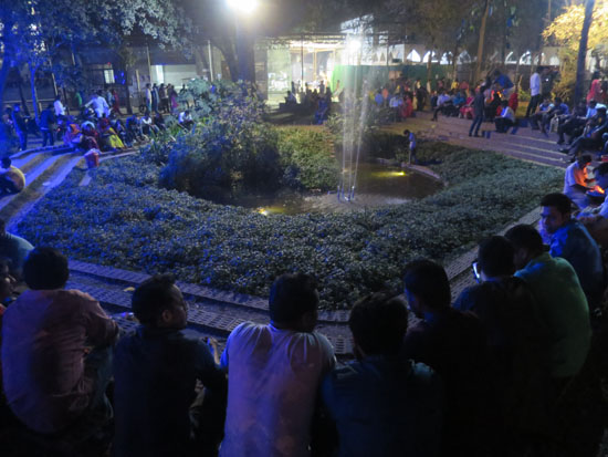 Dhaka University Toad Pond
