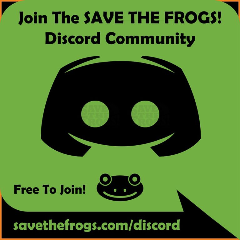 Discord Save The Frogs