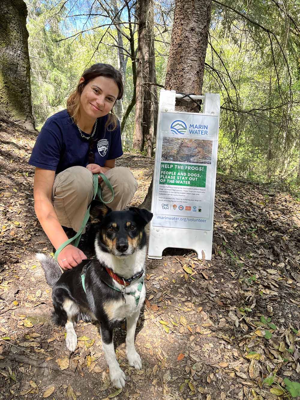 Foothill Yellow Legged Frog Rana boylii Marin County - AmeriCorps 2022