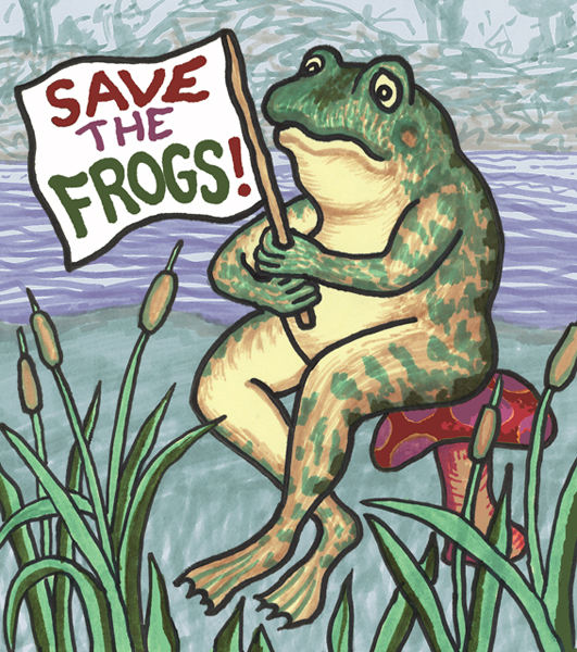 Save The Frogs Revenues