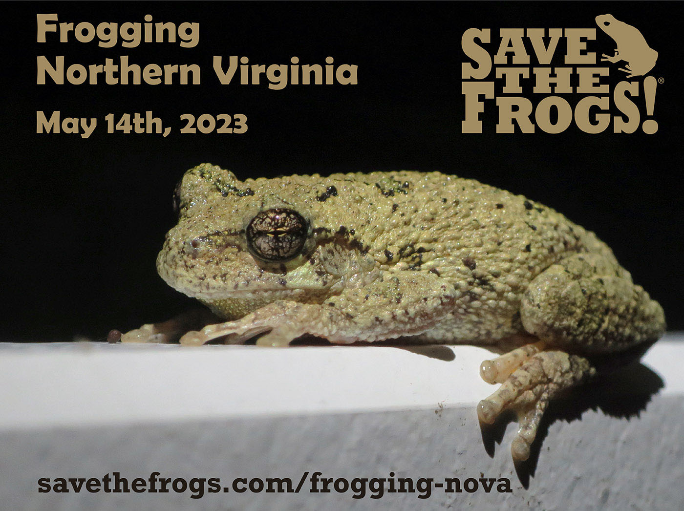 Frogging NoVa 2023