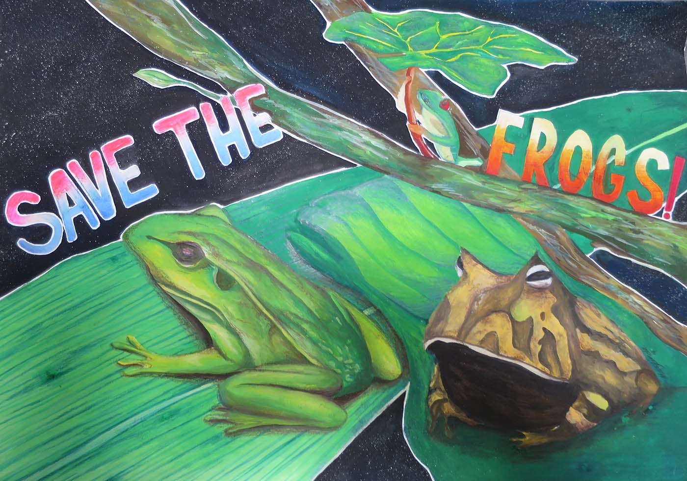 Frog Art Presentations