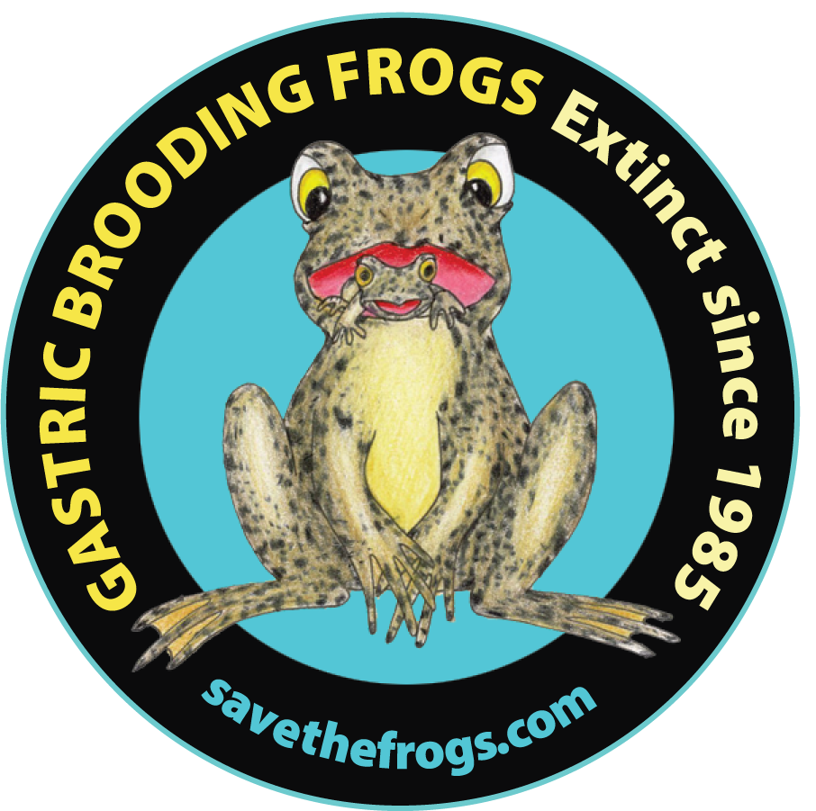 gastric brooding frog art by Leah Klehn