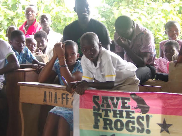 Ghana-Squeaker-Frog-Savers-4