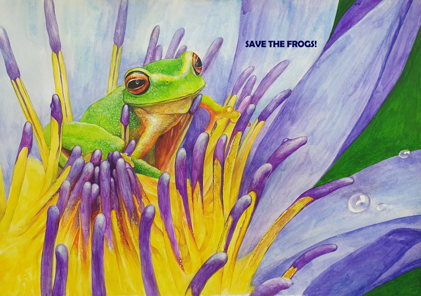 Hyunseo-Lee-South Korea-2021-save-the-frogs-art-contest 2nd Place Winner