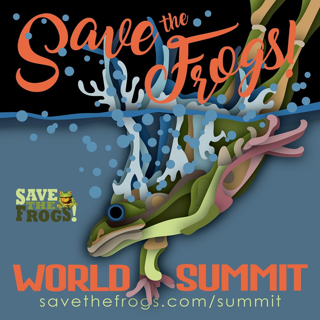 Icon 2021 World Summit Kirsten Maclean - Diving Frog 1080