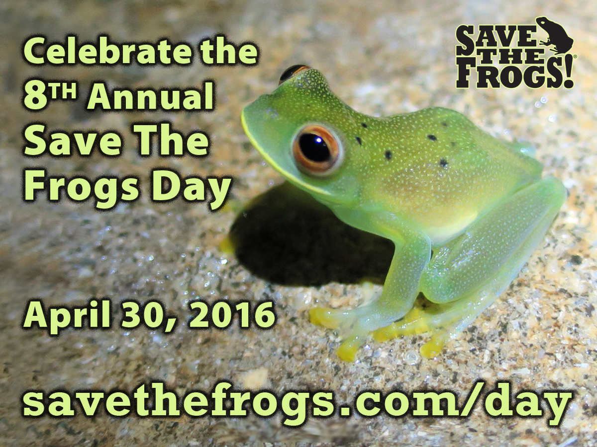 Icon Save The Frogs Day 2016 Official