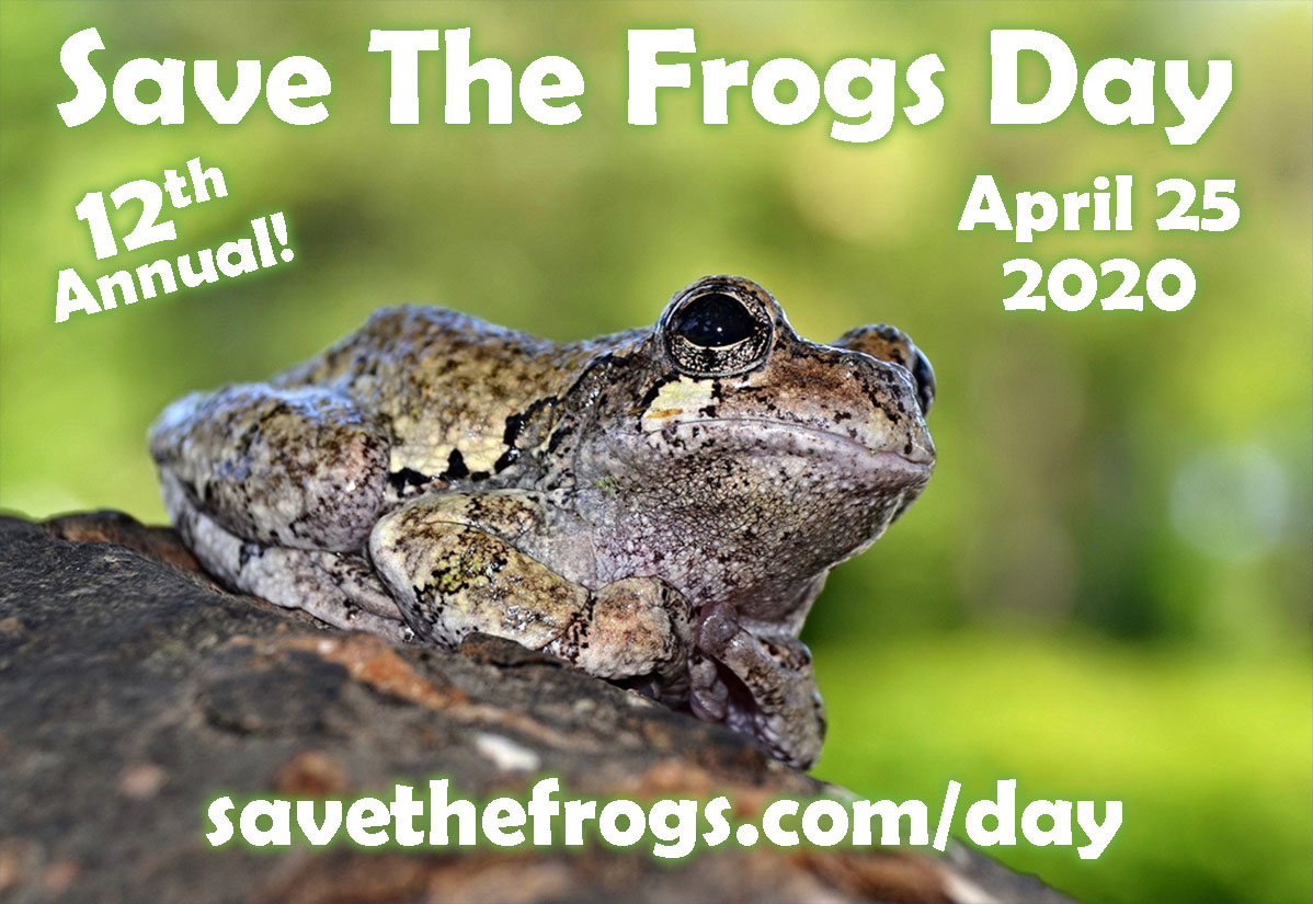 Save The Frogs Day 2020 Icon