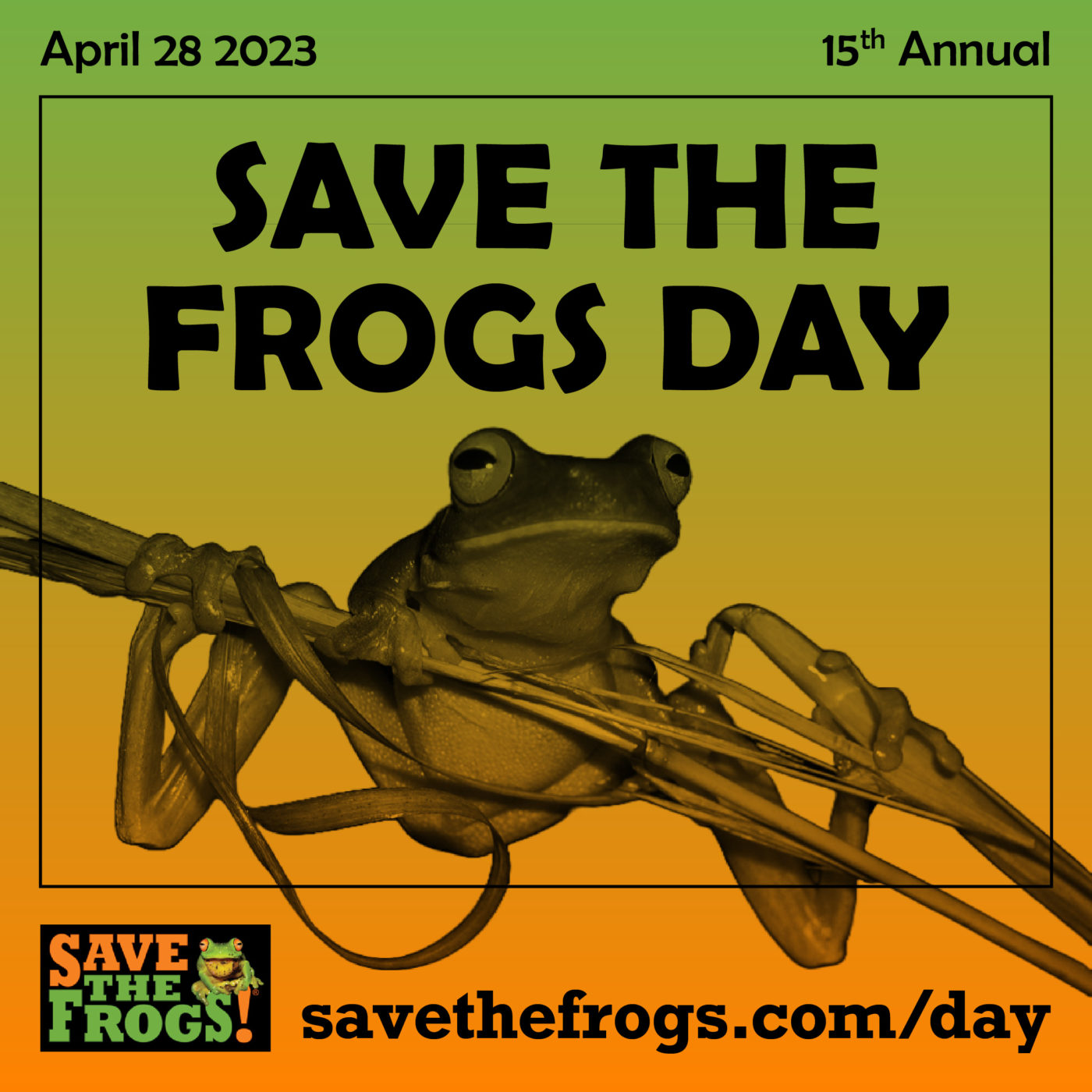 Save The Frogs Day 2023 Icon