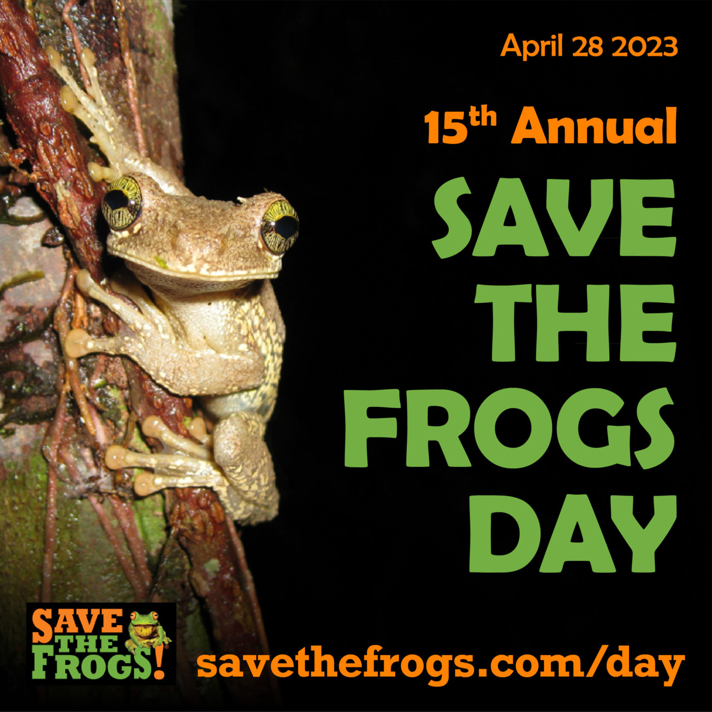 Save The Frogs Day 2023 Icon