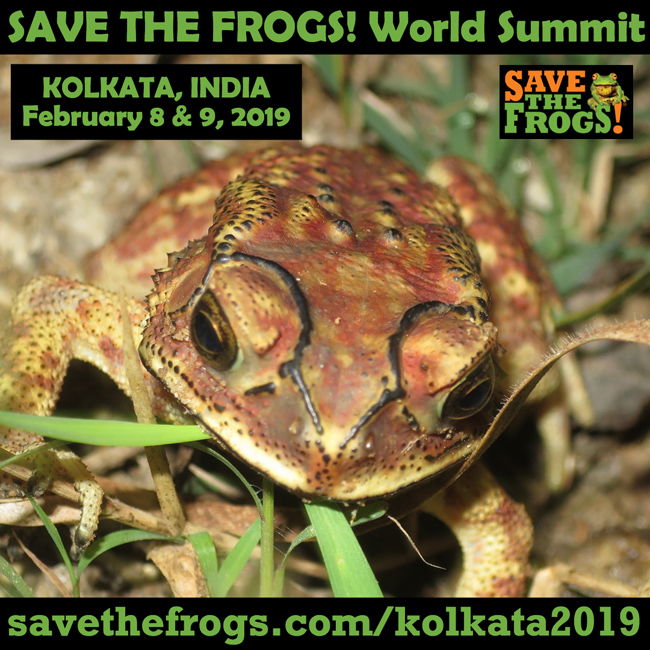 Save The Frogs World Summit Kolkata