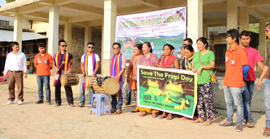 frog conservation asia