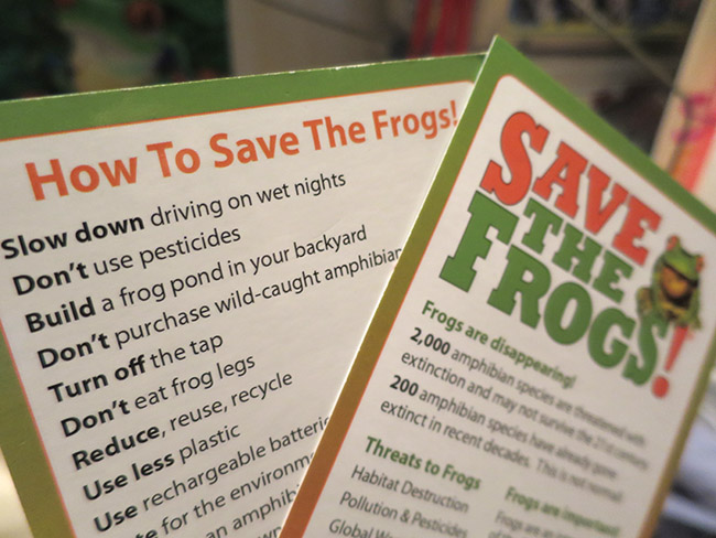 Save The Frogs Info Cards