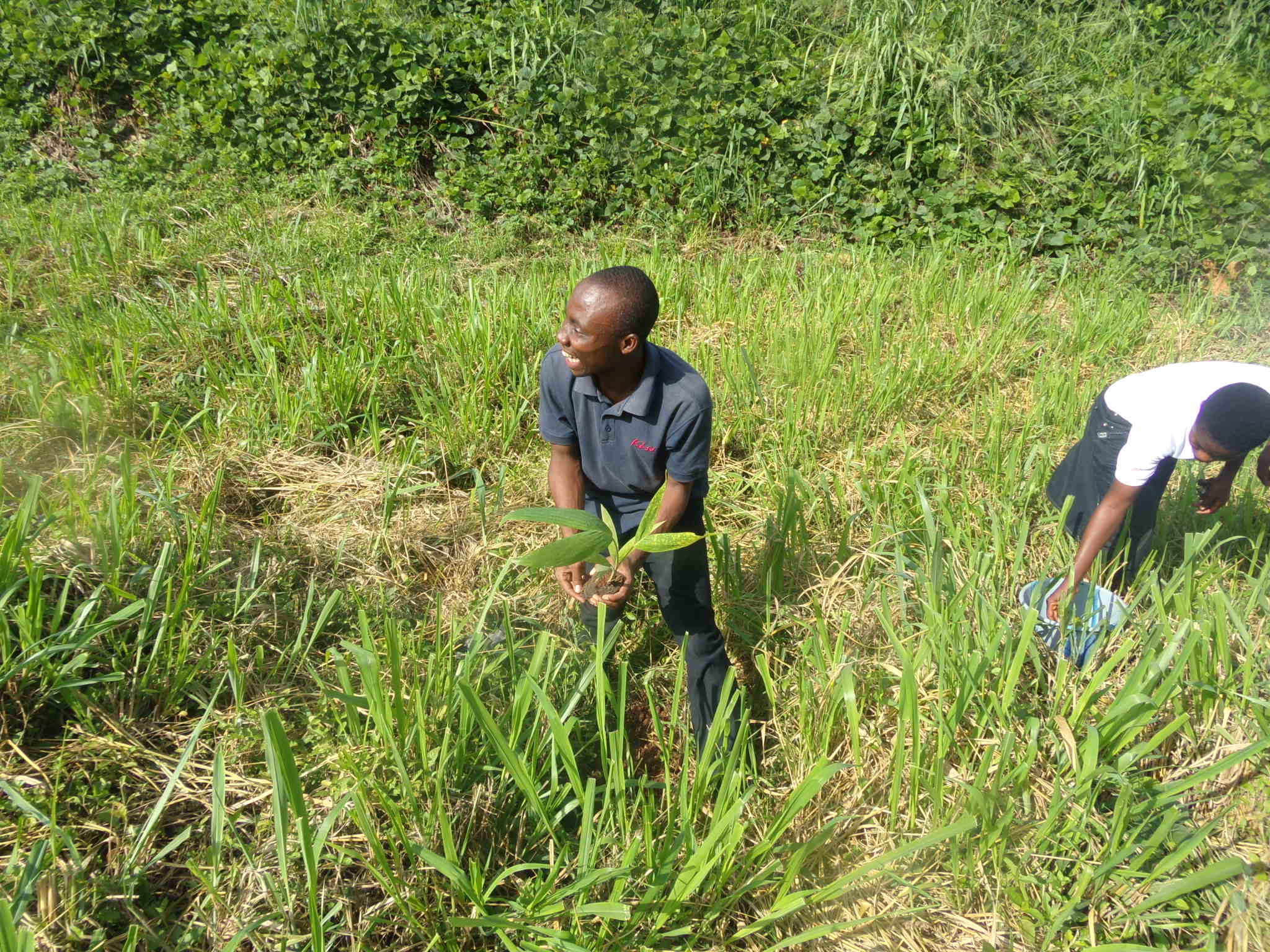 KNUST chapter planting trees along wewe river