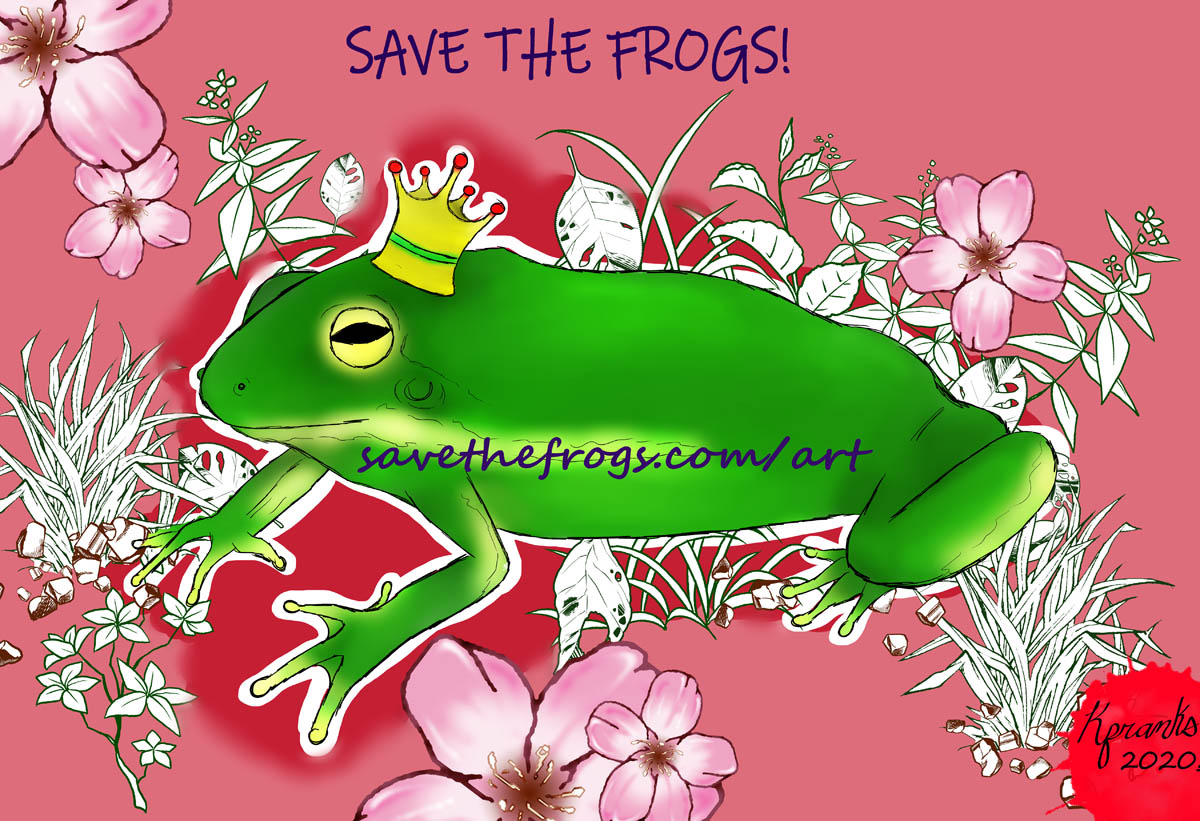 Kara Franks Frog Art
