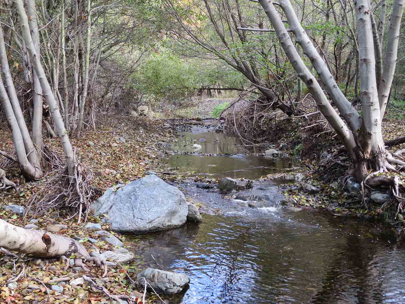 Little Yosemite Creek - Sunol Wilderness - California