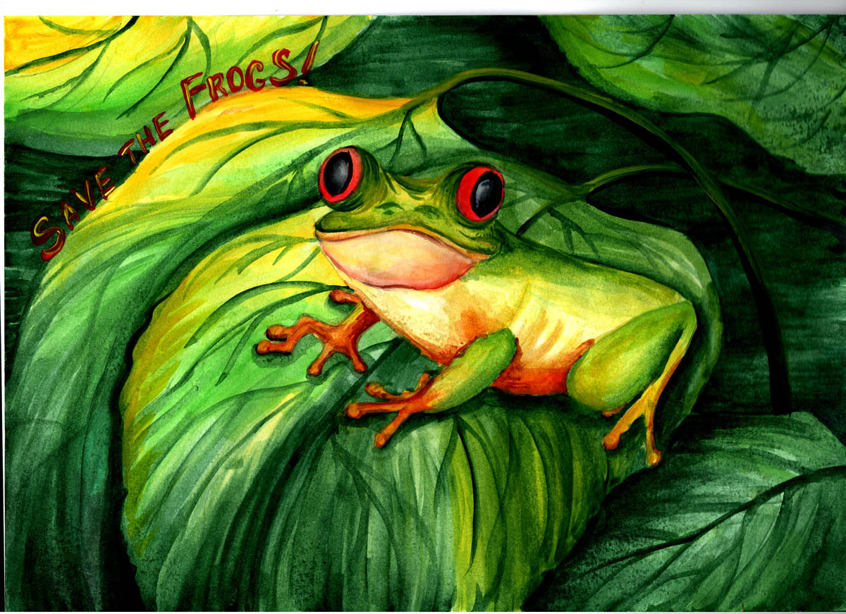 Mariya-Volkova-Ukraine -2020-save-the-frogs-art-contest