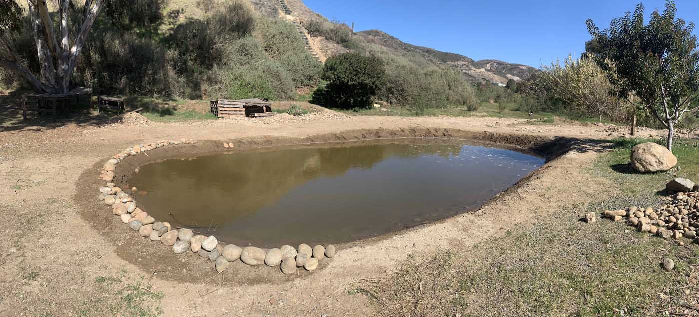 Mexico Wetlands Baja California - Poza 4 Milpas - 20220301 - 019