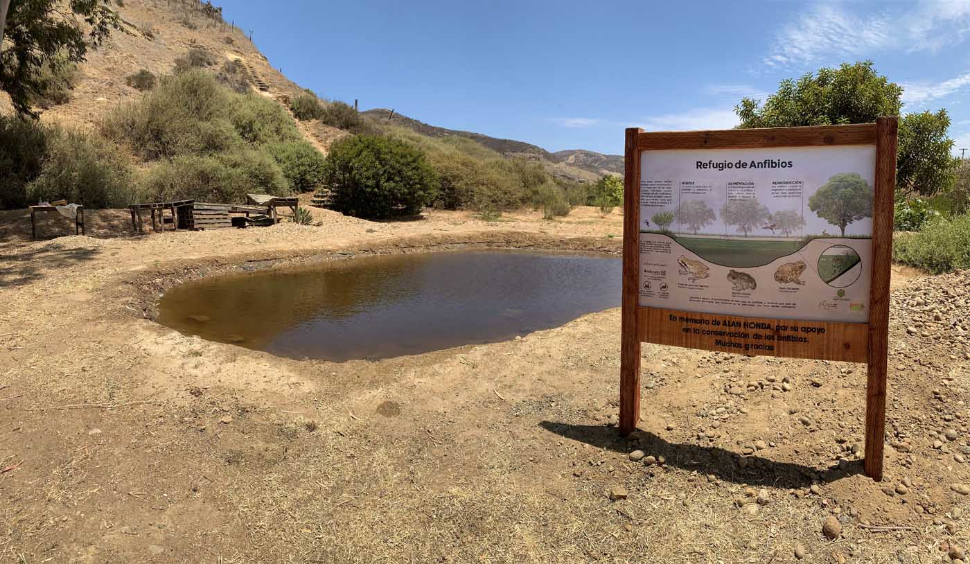 Mexico Wetlands Baja California - Poza 4 Milpas - 20220622 - 023