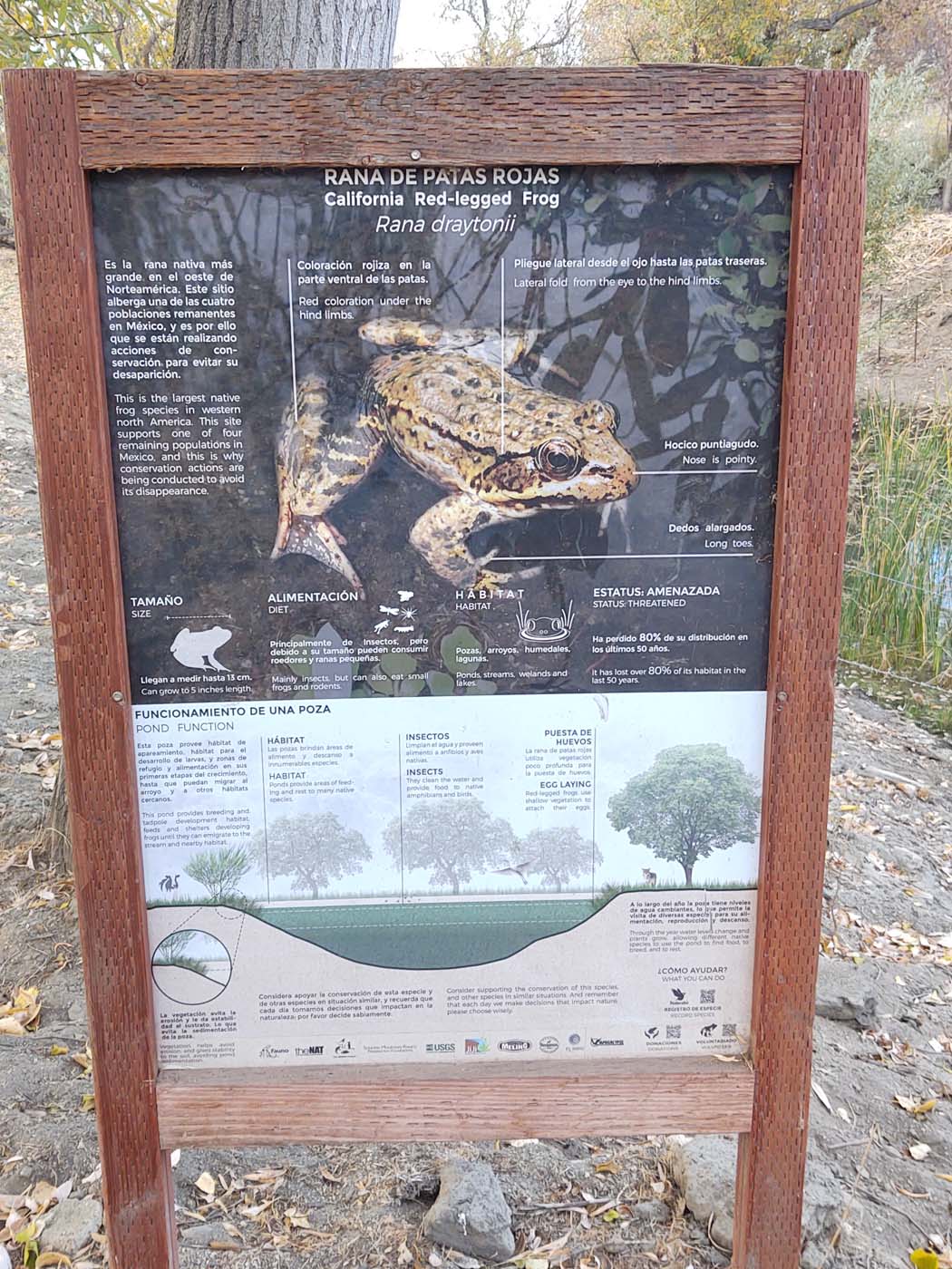 Mexico Wetland Restoration - Baja California