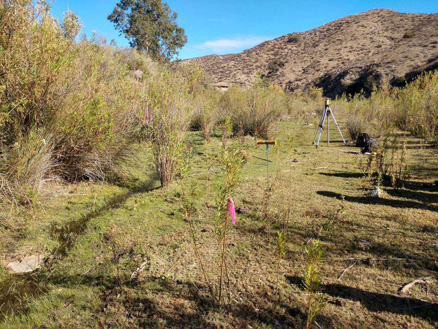 Mexico Wetland Restoration - Baja California