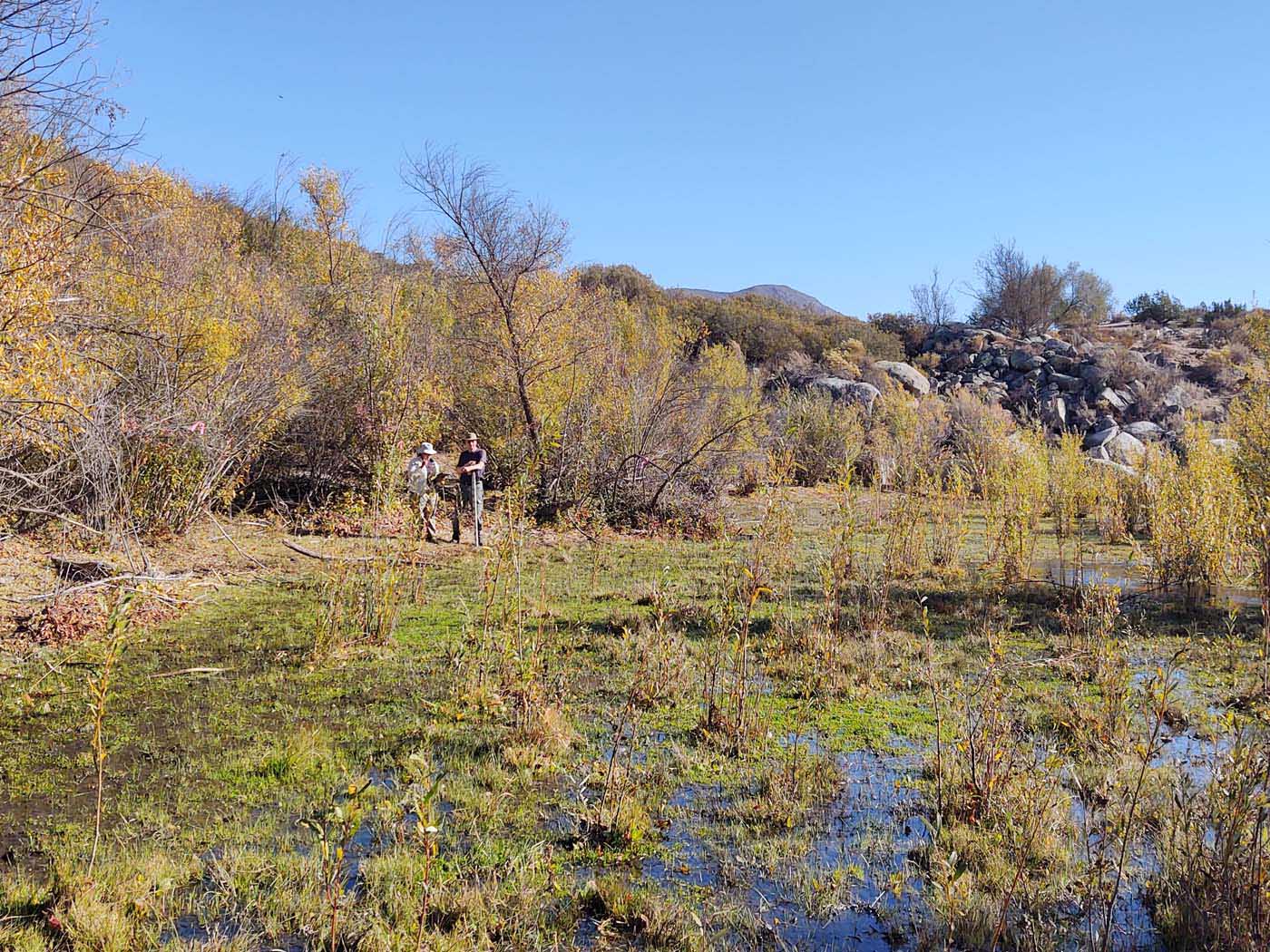 Mexico Wetland Restoration - Baja California