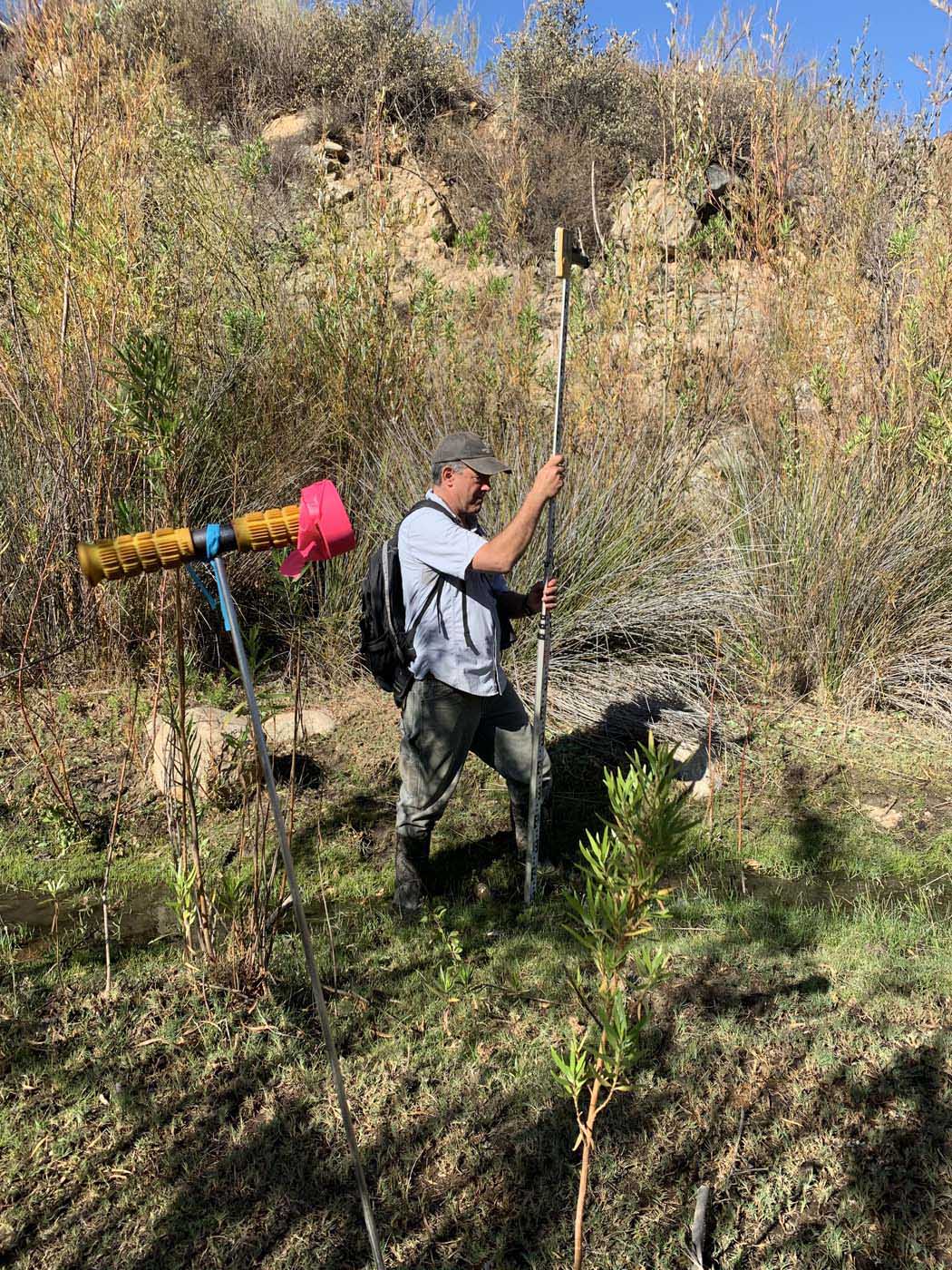 Mexico Wetland Restoration - Baja California