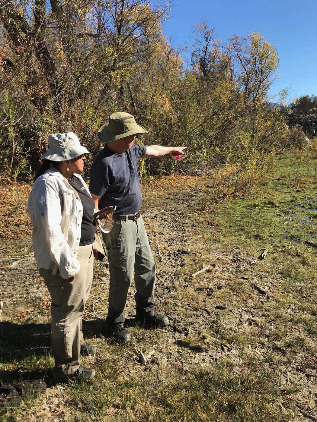 Mexico Wetland Restoration - Baja California