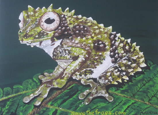 Frog art by Michele Hamill