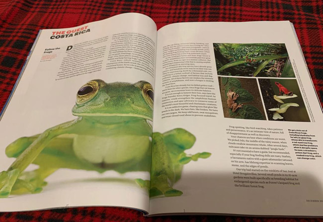 National Geographic Traveler Frogs